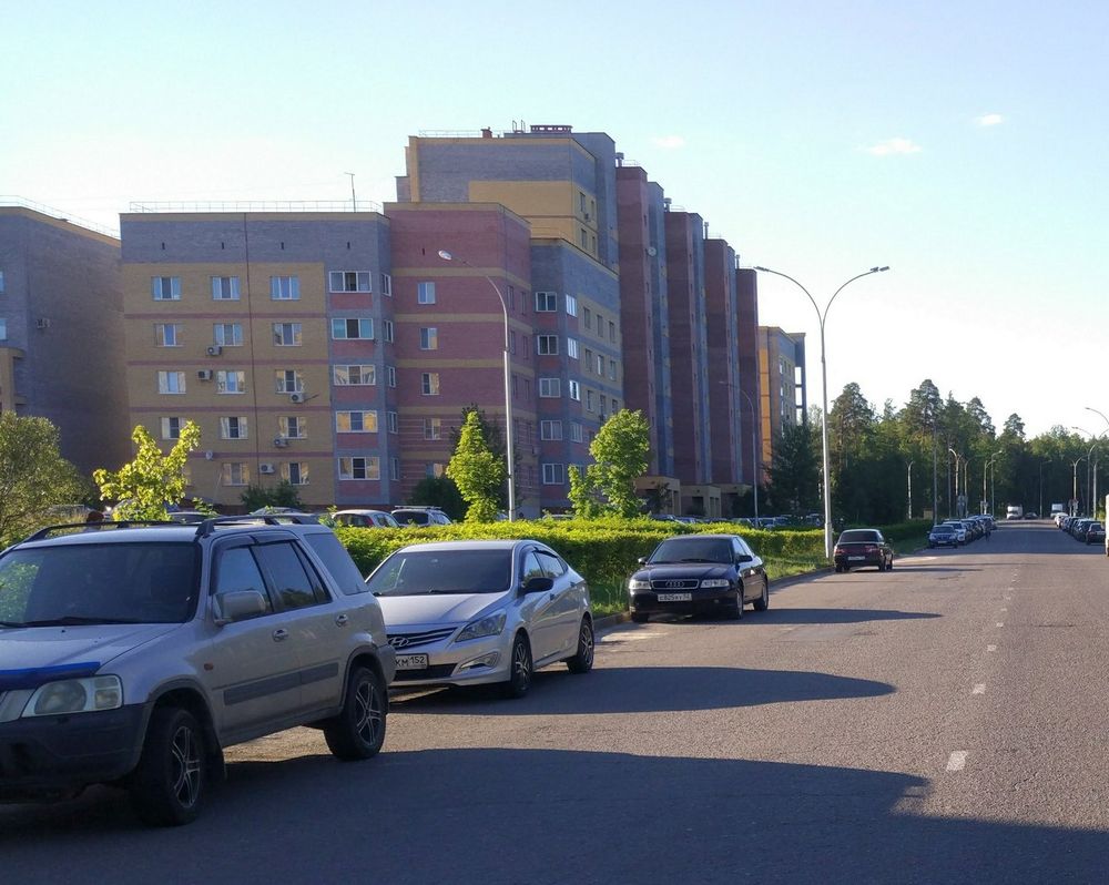 Дог-шоу, чай с баранками Жителей улиц Силкина и Раменская ждут на Дне двора