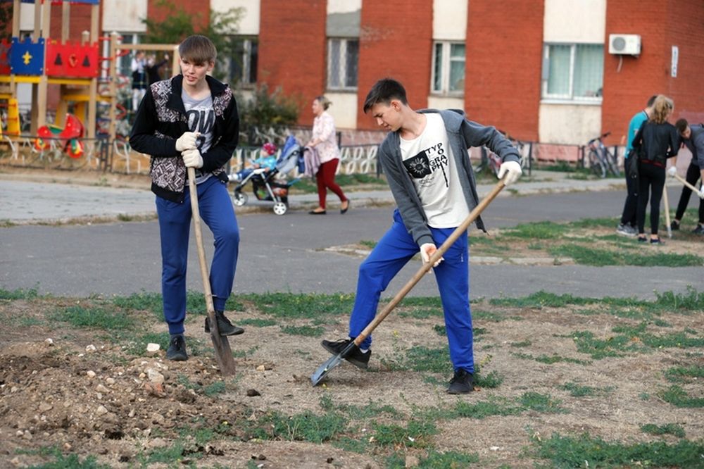 Аллея на сто лет Активисты посадили деревья у МФЦ