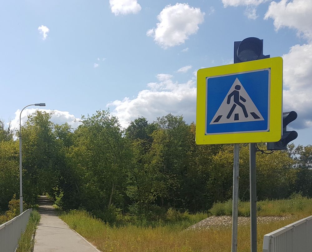 Дикие и лежачие К зиме в городе появится сотня дорожных знаков