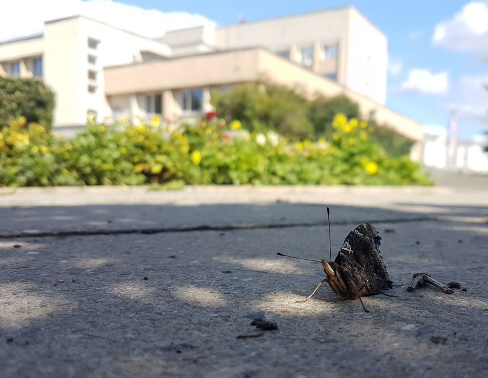 Ревизии без вопросов Власти отчитались об отсутствии фактов коррупции