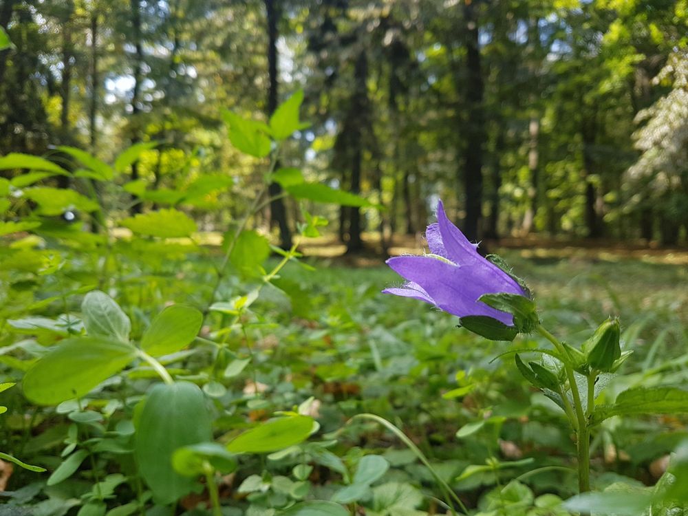 Особая акция Сто саровчан сдали кровь на донорство костного мозга