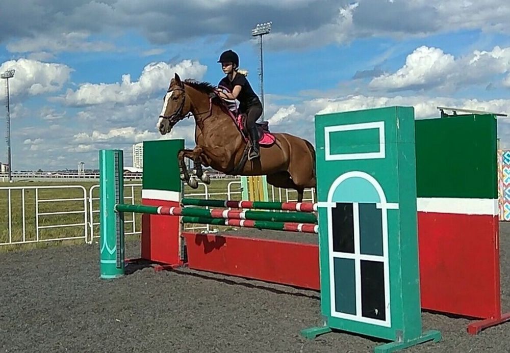 Соревнования по конкуру Любителей лошадей пригласили на Кубок КСК