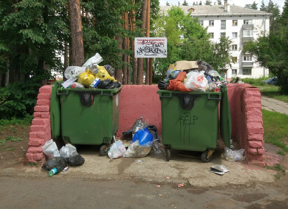 Срок - три недели