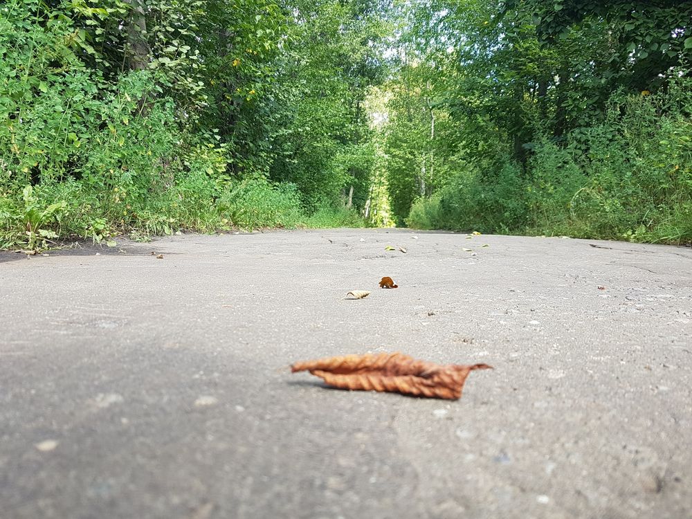 Комфорт на Сосина