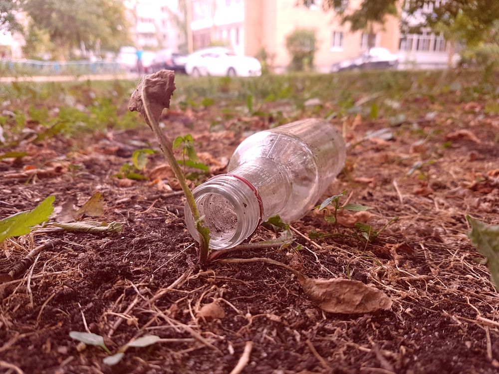 Тяжкий вред здоровью