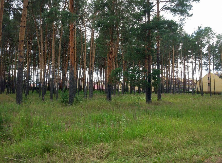 Заслуженные наделы