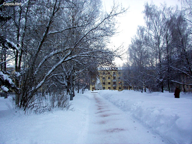 Экстренное предупреждение в Нижегородской области похолодает до -25 °С