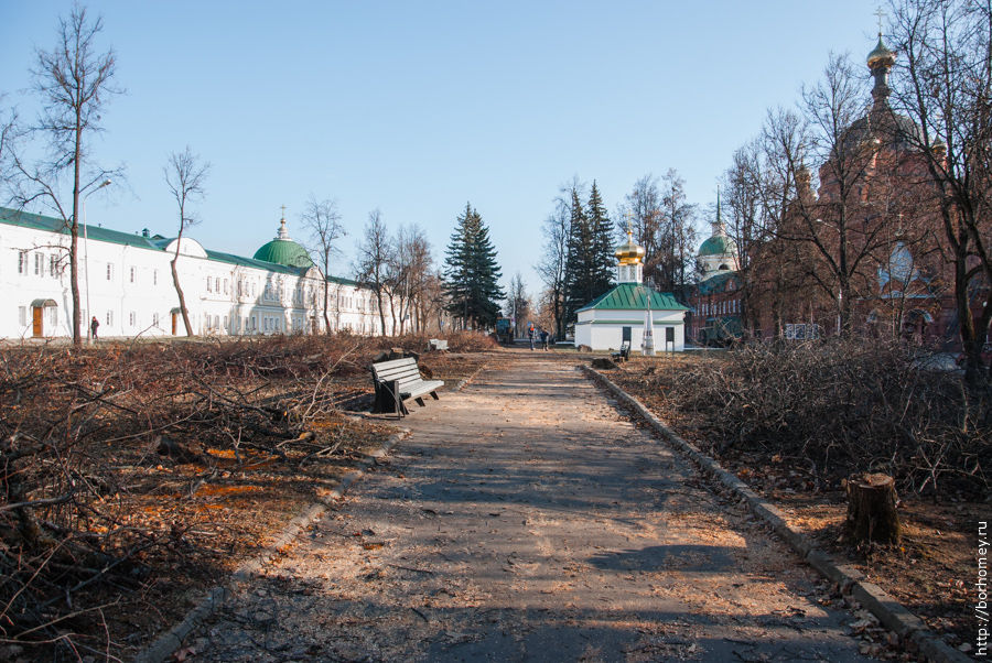 Ничего святого Горожане удивились вырубке деревьев в сквере под башней