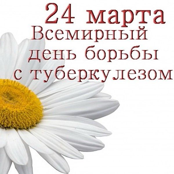 ���������� ������� ����������� ���� ���������� � ����� ���������� ��������������