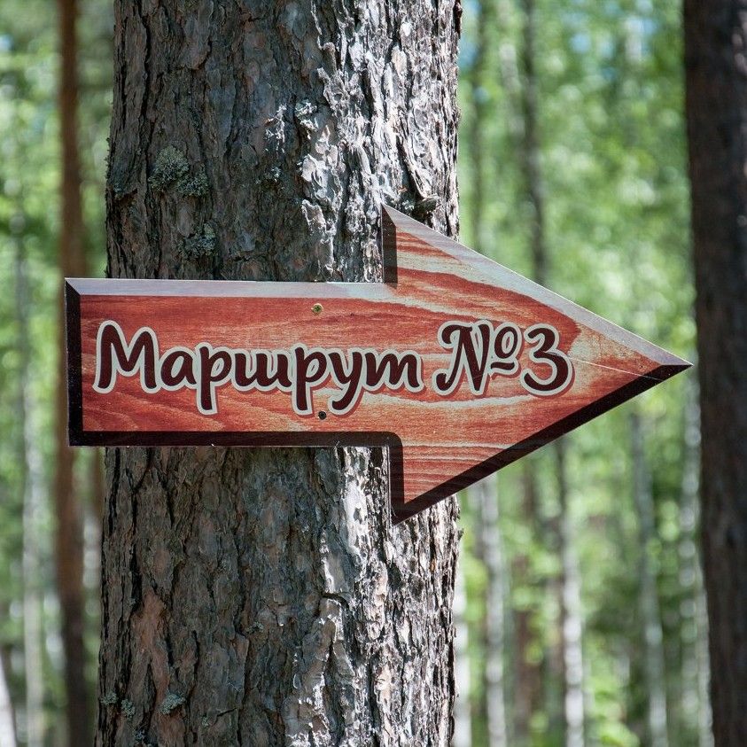 ����-������ �������� � ������� ��������� ���� ��������� � ��������� ����