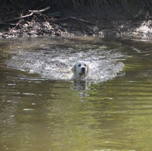 ������� ��� ������� ������������ ��������� �� ���� �������� �������� "������"