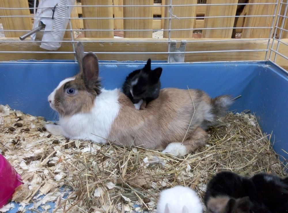 ��������� ������ � ����-�������� ������� ����������� � ������� �����������