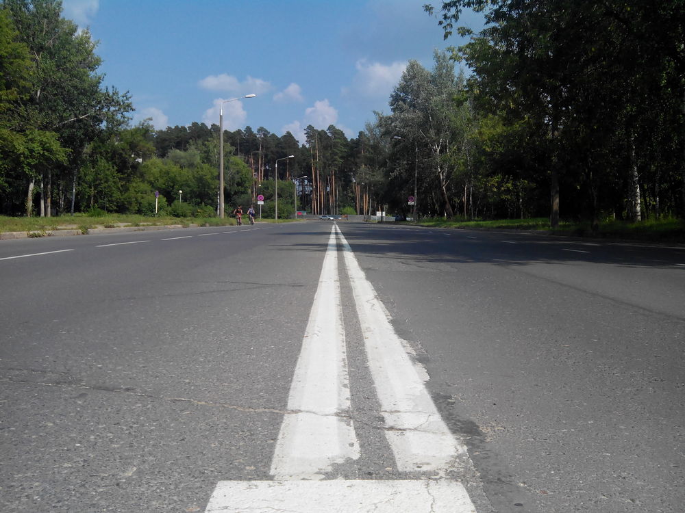 Будь ты хоть Роллс-Лось Водителей в ЗАТО поджидали сохатый и аварийный коллапс