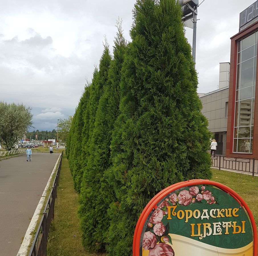 Заявки на комфорт Горожане смогут благоустроить свои дворы на сорок миллионов