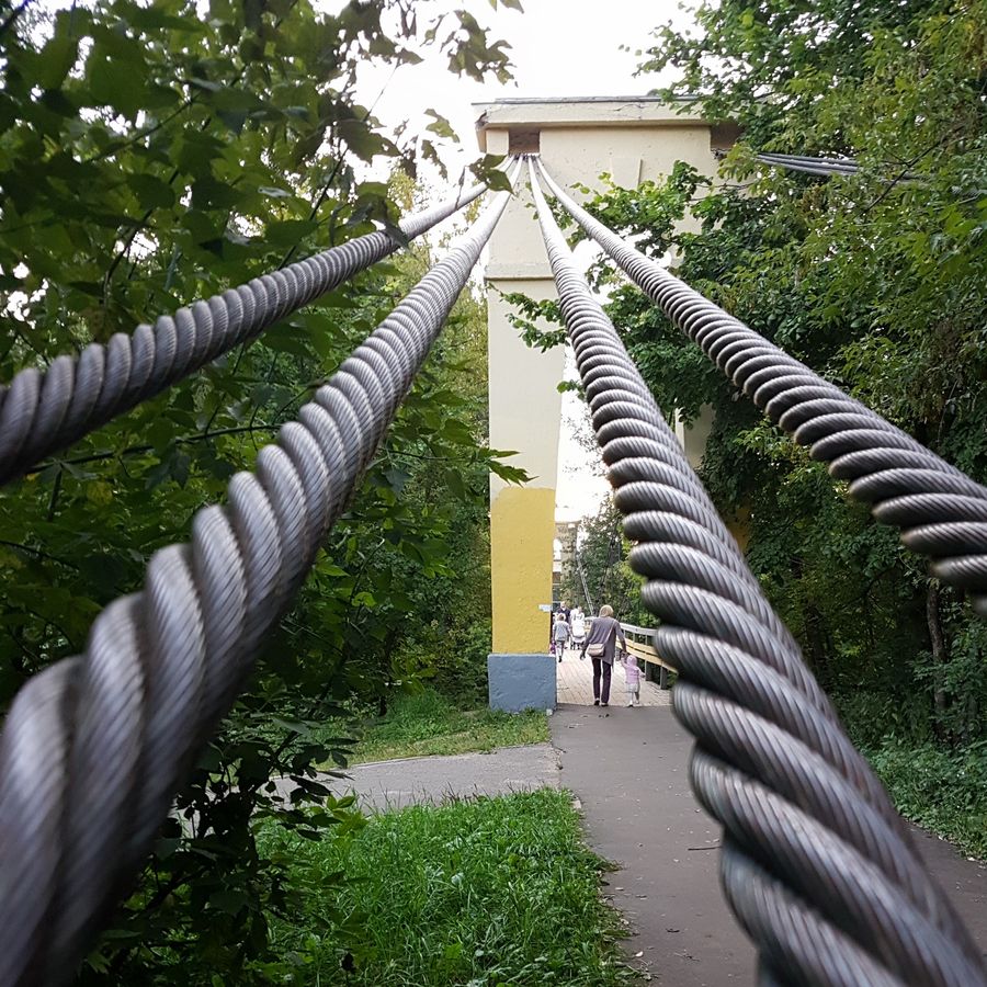 ������������ ������ � ������ ����������� �� ����� ����� ������ �������