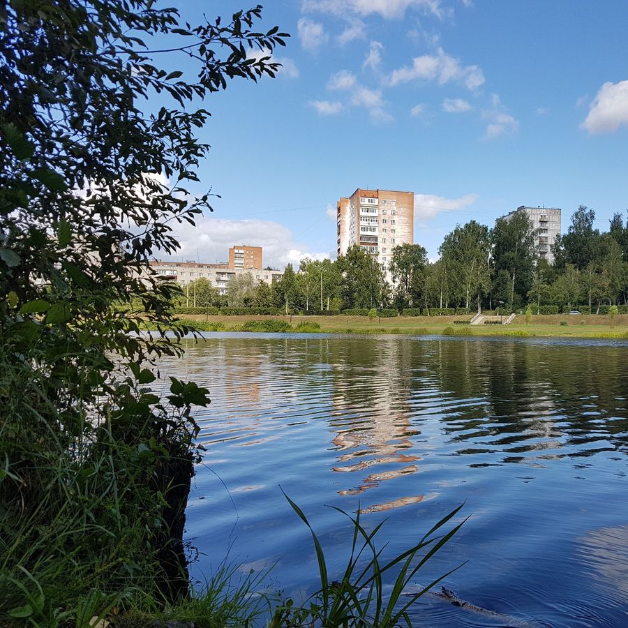 ������� �� ������� �� ���������� ��������� 24 ������������ ����������