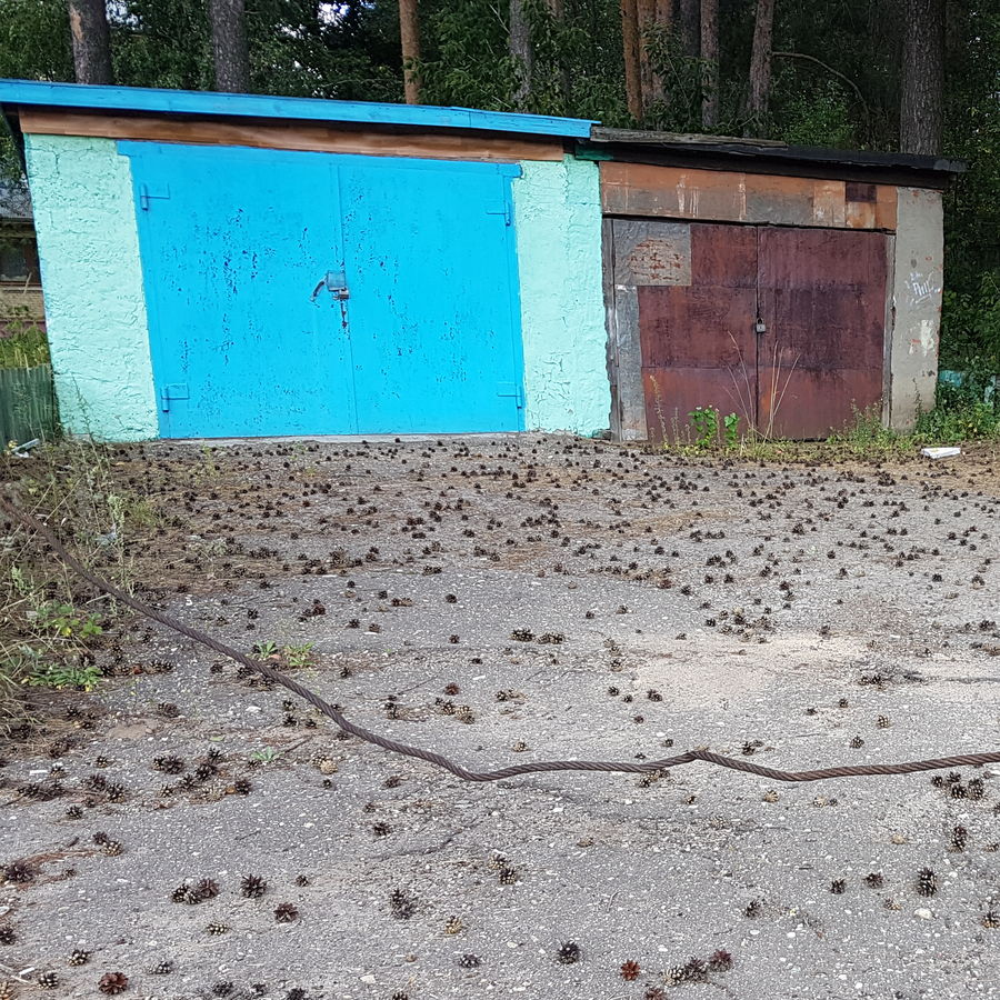 �������� ��������� ������� �������� � ���������� ����� �������� � ������