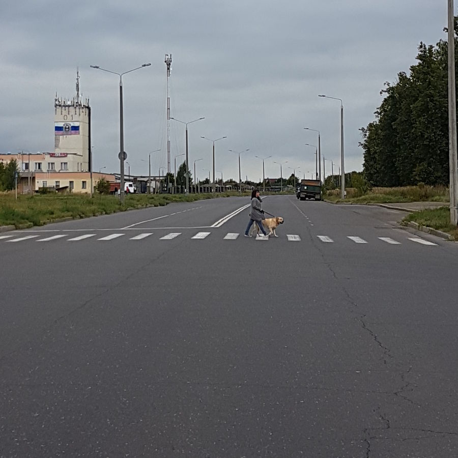 �� ����������� �����! ����������������� ������� ��������� ���������� ���������