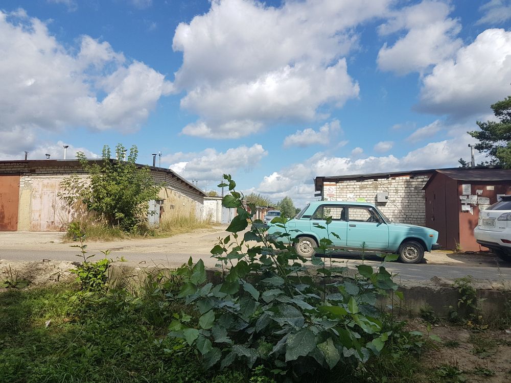 ���������� ������ ����� ������� �� ������� ������ ���� ������ �� ������