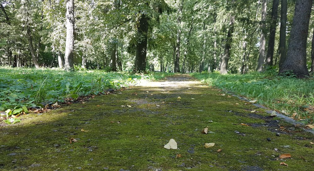 �������� ������ � ����� � ������ �������� ����� ��������