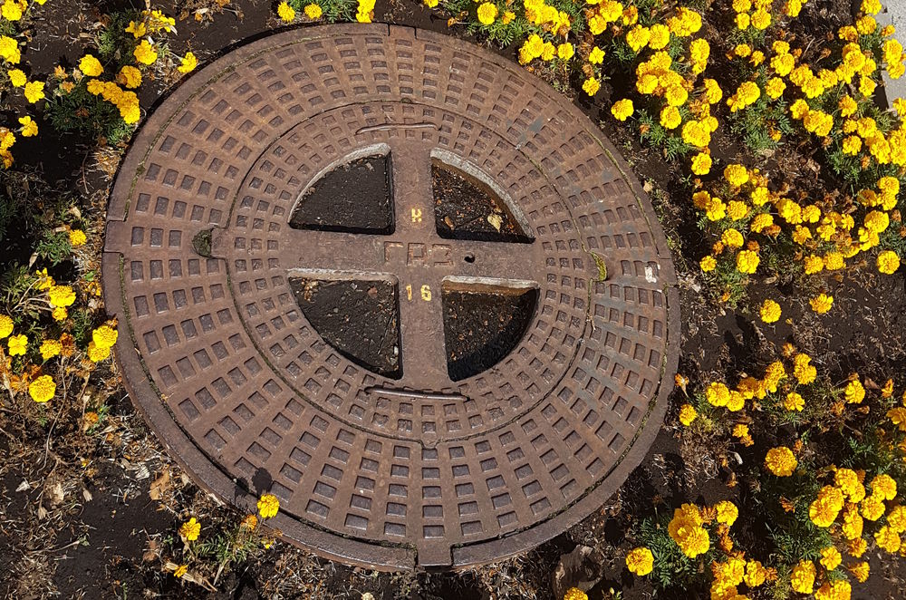 ������� ����� ������� ������������ ���������� ����� ���������� �� 2025 ����