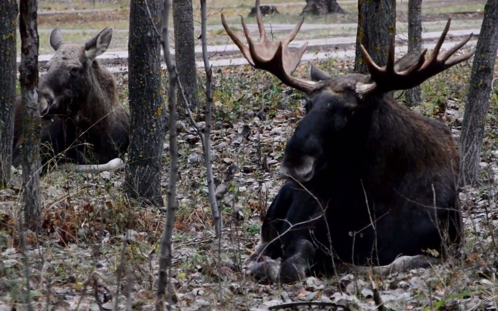 �������� � ����� ��� ������������ ���� ������ �� ����� � �������� ������