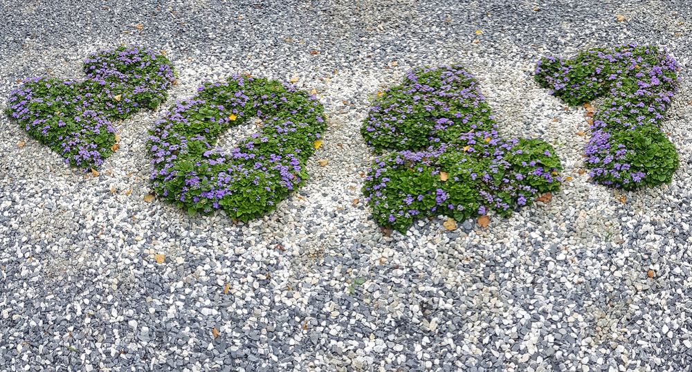 ����� �� ���� �������� ��������� ������ ����������� ����������