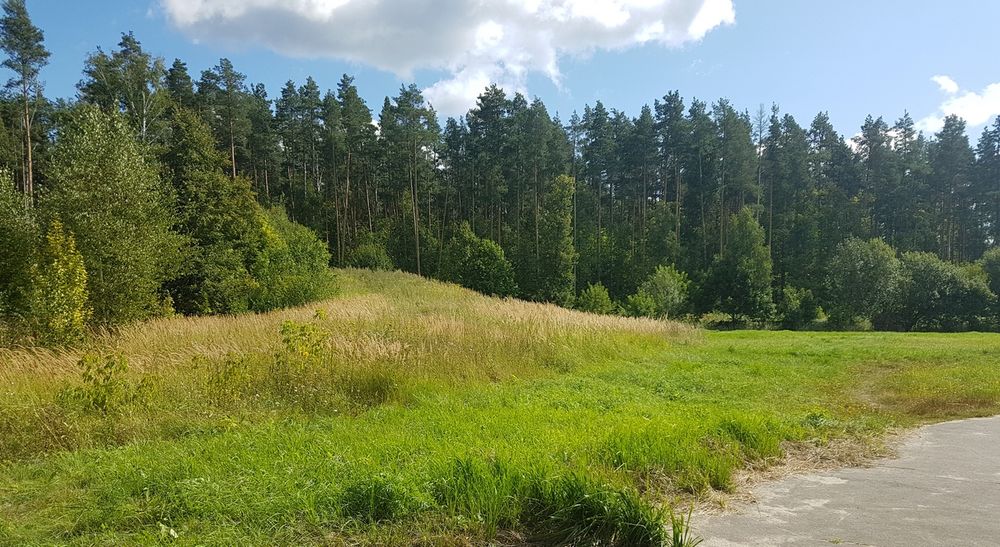 Высокий разряд Новая поликлиника может стать диагностическим центром