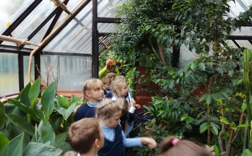 ��������� � ��������� ������� ������������ ���������� ����� � ������ (���)���