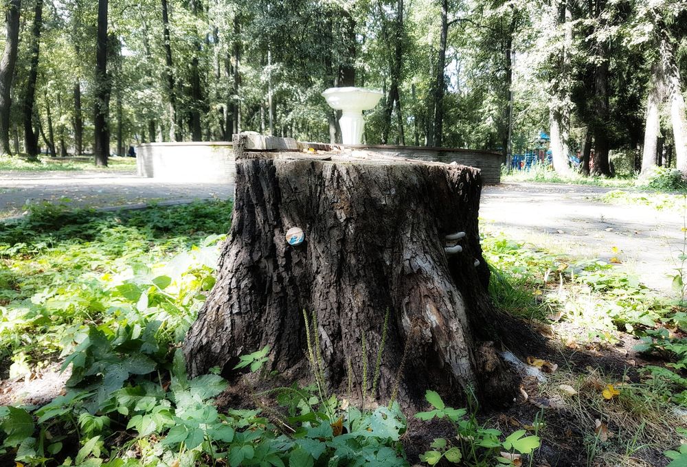 ������ ��� ������ ����������� �������� � �������������� ����� ����� �������