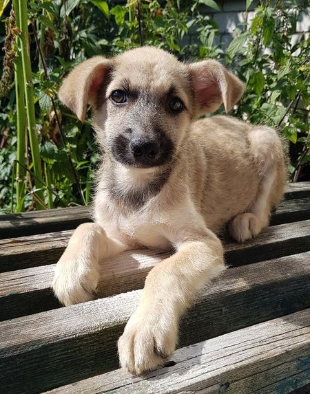 ������ �� ������� ���������� ��������� � ����������� ���-���