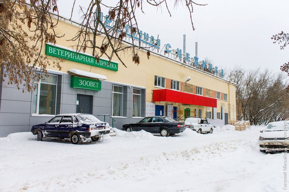 ������ ����� ��������� "��������" ������������ � "��������"