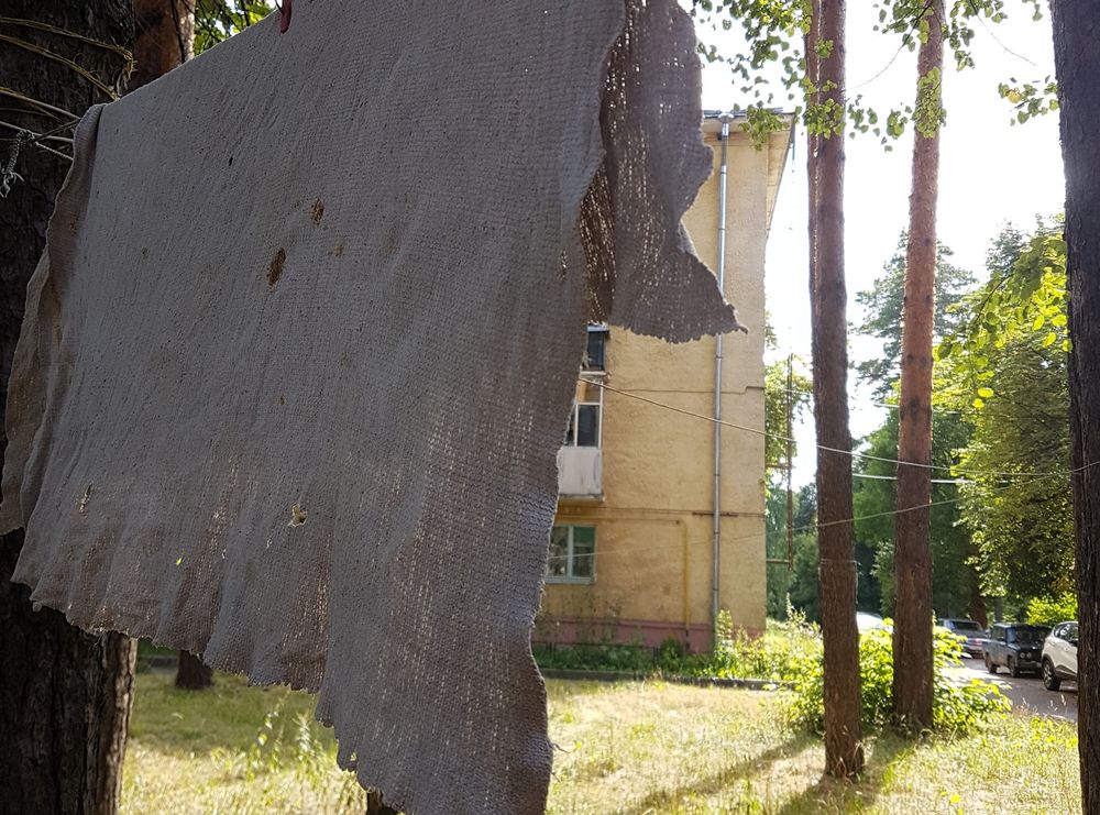 ����� ���� ׸���� ������� ������� ������ ��� ������� �� ��������������