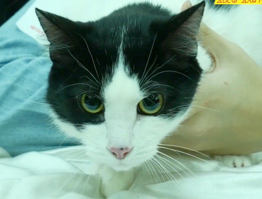 ������ �� ������ � ���� ��������� ����� � �������� ��������