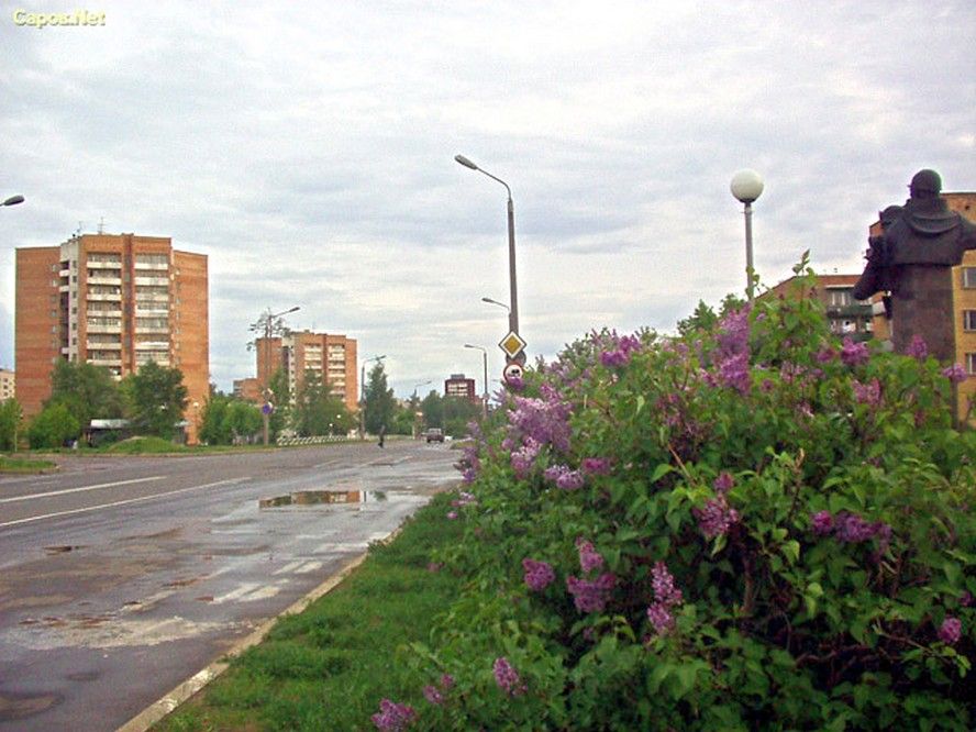 �������, ����� � ������ ����� ����� ������������ ����� �� ����������� ��������� ������