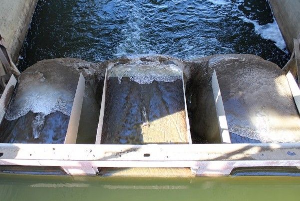 ����������������� ��������� ��������������� ������� ���������� �������