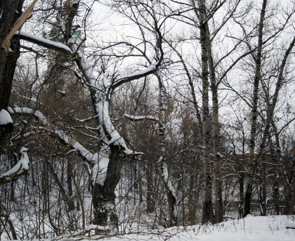 ���� ���� �� ���� �� ����� �������� �� �������� � ������ ���