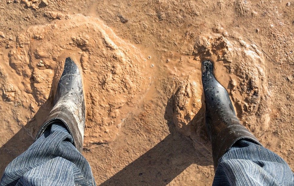 ��� ���� �����, ���� ���� ������ ��������� ������ �� � ����� ������ �������