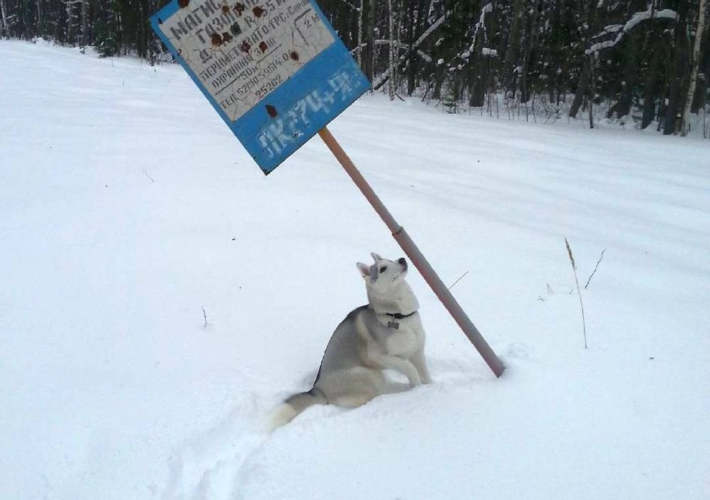 ��� ����� ����������� ����� �� ���������� ���������� ��-�� ������