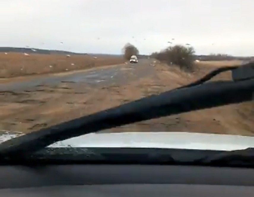 "��������� ����" ������������ ������� ����� ������� �� ������ � �����