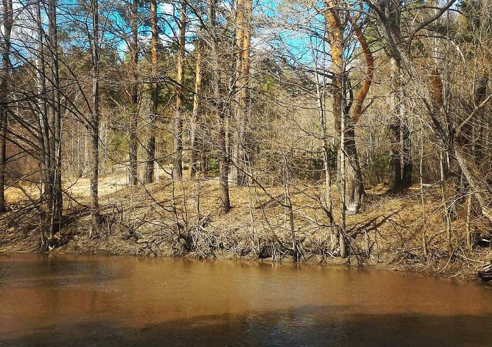 ������ ����� ������� ��������� ���������� �� �������� � 14:00