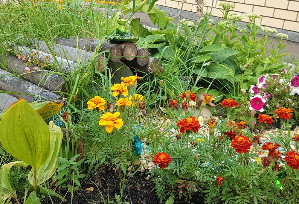 ������� ��������� ��������� ����� ��������� ���������� � �������� ��������