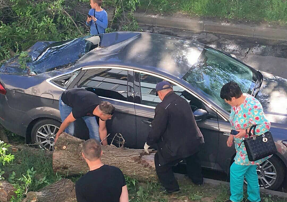 ������ � Kia ����������� ������ ����� ������������� ������