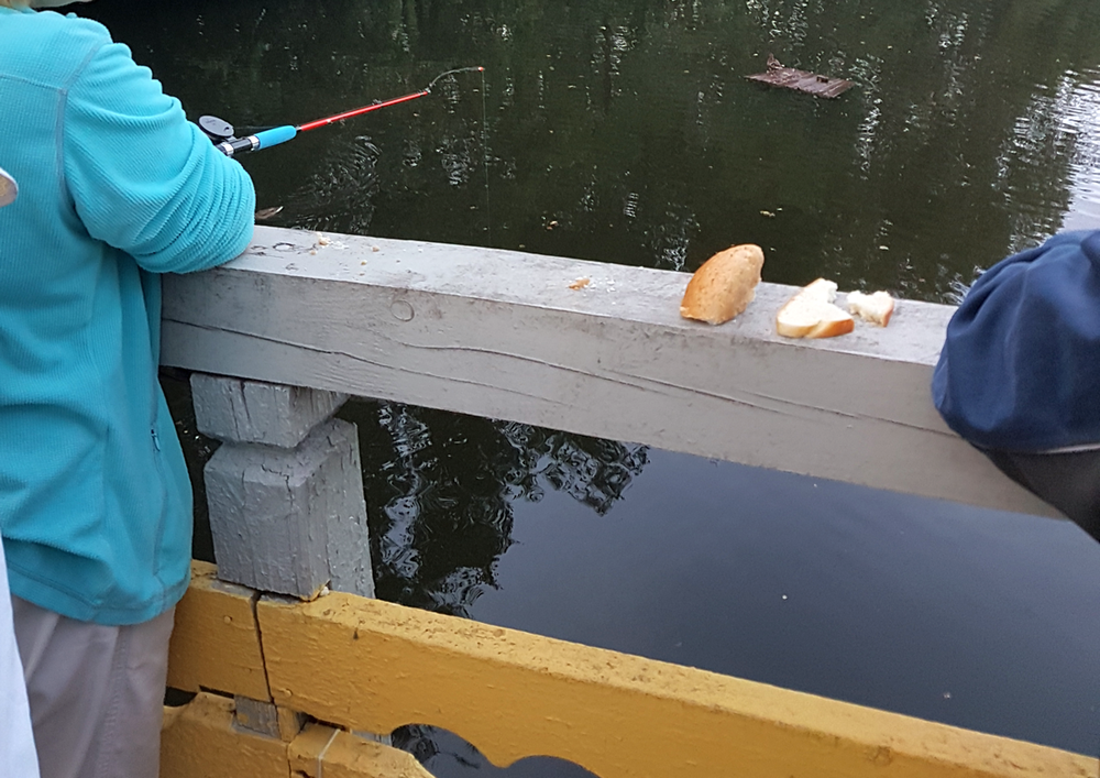 �� ������ ���� ���������� ������������ ����� ������ ���������