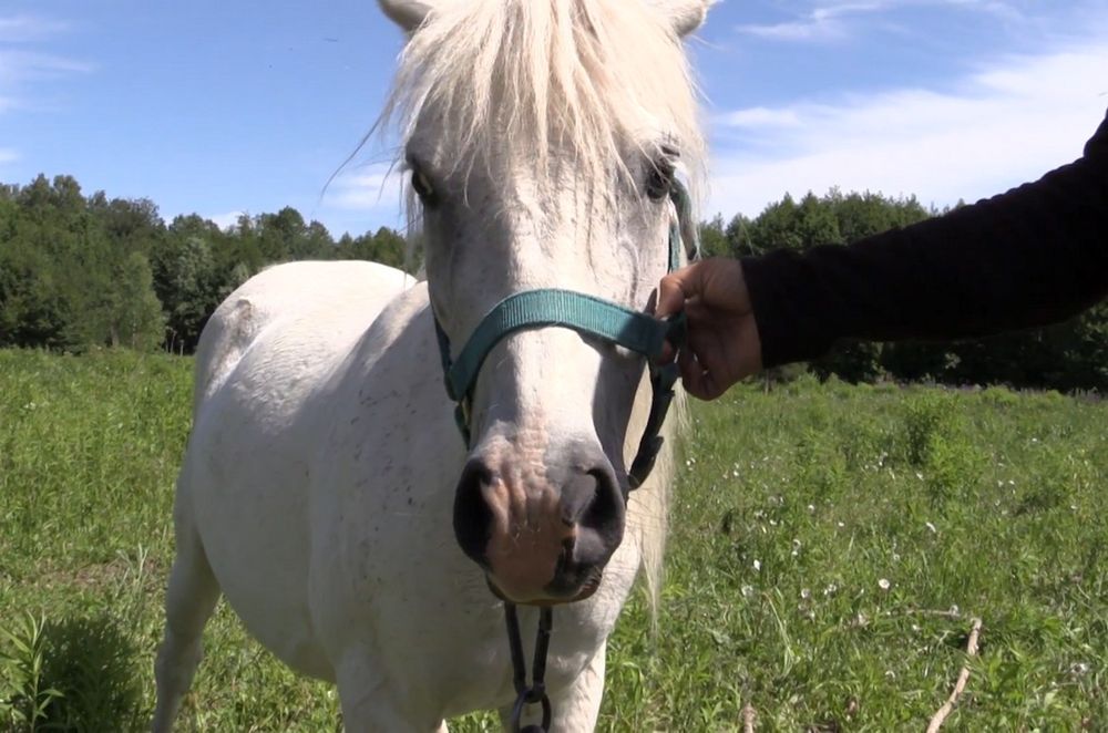 ������ �� ������ ����� � ����� �������� ����� ����������