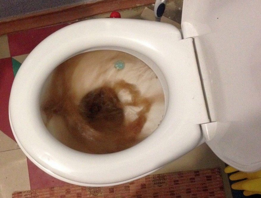 "���� ��������, ����� ������" ������ �������� ��-��� ����� ��������� ��������� �������