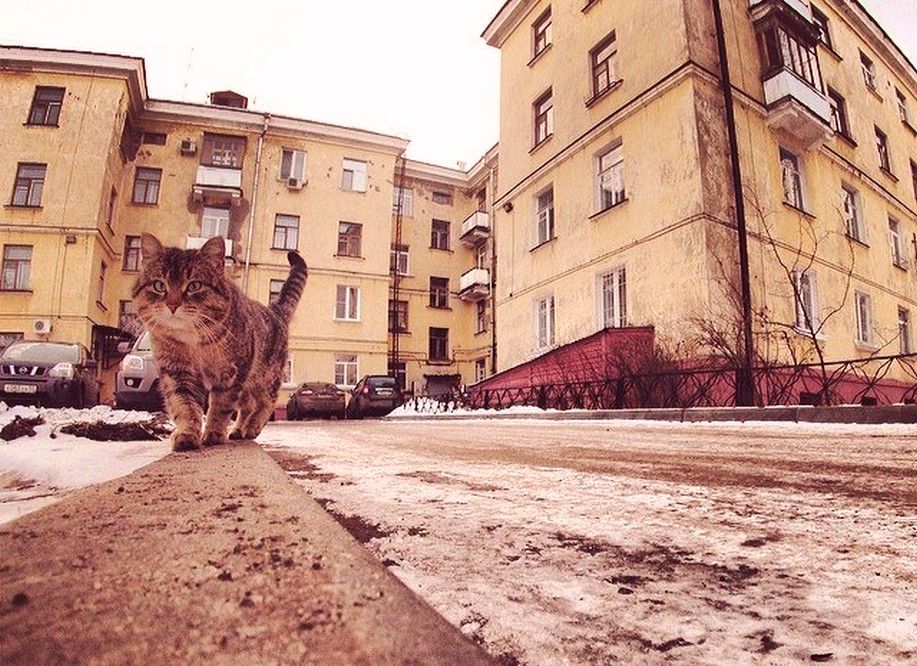 ������ �� ����� ���� � ������ ����� �������� �������� �� ���������