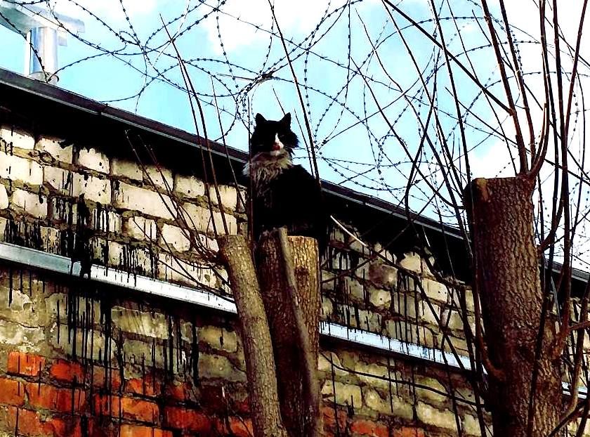 ���������� �� ������ ���������� �������� �� ����� �������� ������� �����