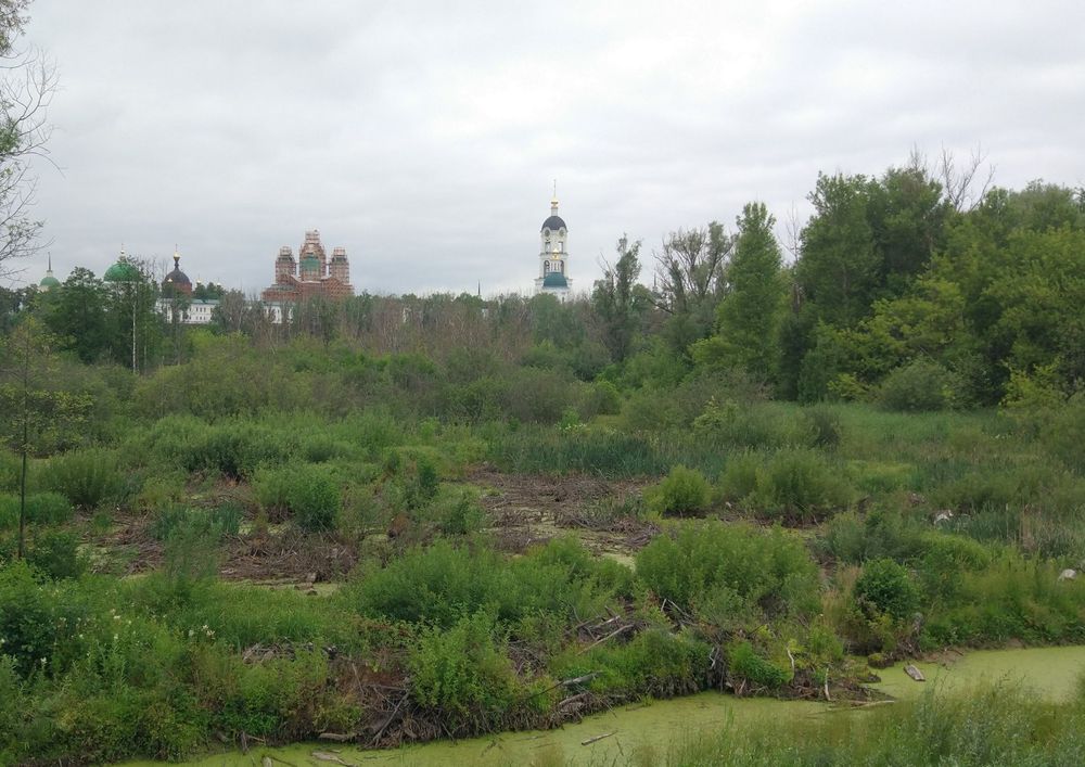 Встали в строй Открытый Саровом список ТОСЭР увеличился впятеро