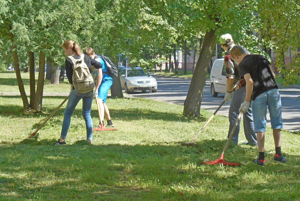 �������� - �����! ��������� � ������ ��� ����������� �� ������ ���������